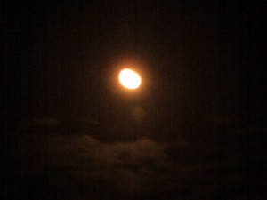 pict0002 Bright moonlight