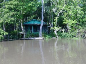 dsc01604 Fishing and Hunting Shack in the Honey Island Swamp.